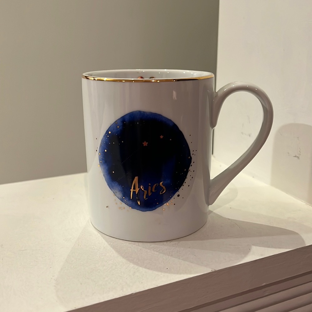 Aries cup